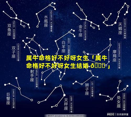 属牛命格好不好呀女生「属牛命格好不好呀女生结婚 🐘 」